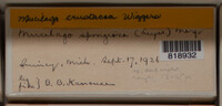 Image Associated With the Occurence